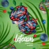 Изображение LETEAM - С ЛЕСНЫМИ ЯГОДАМИ - 25 GR MEDIUM